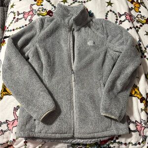 The North Face Light Gray Fleece Jacket